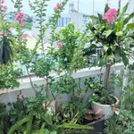 Bán nhà 3 tầng 88m2 đường Bùi Thiện Ngộ, Quận 12 - Ảnh thu nhỏ 1