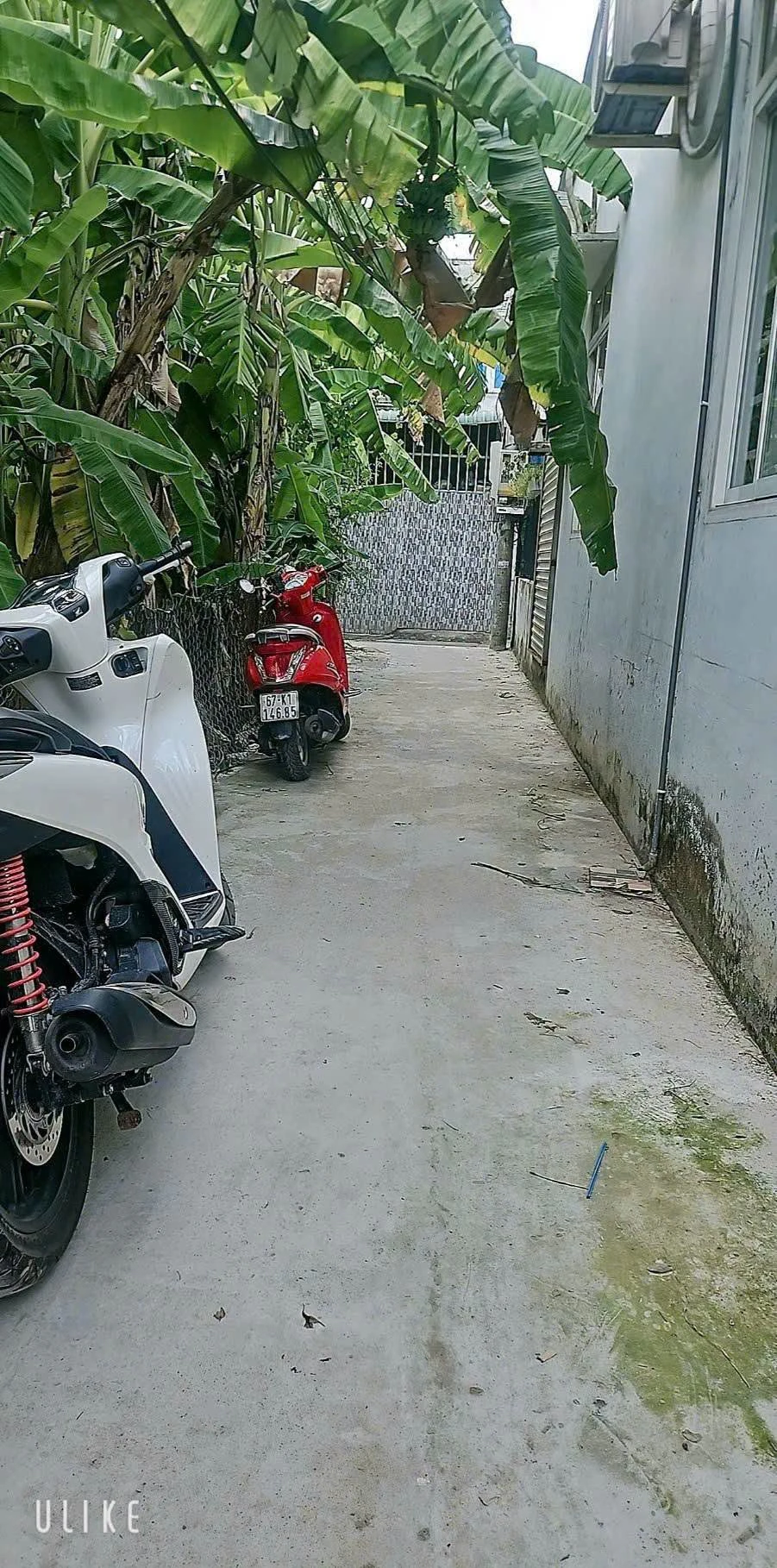 Bán nhà 5PN trên đường Tân Phước, Long An, 2.18 tỷ - Ảnh 1