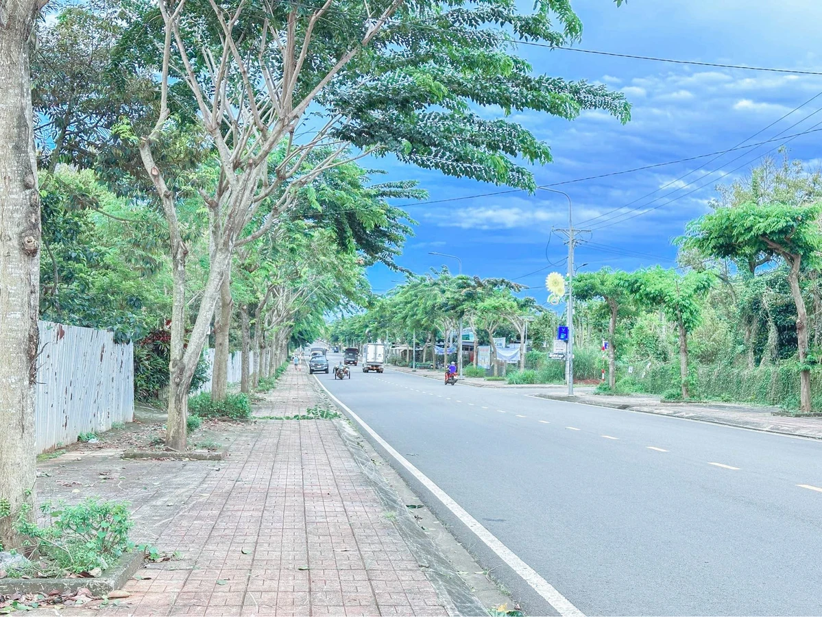 Bán đất mặt tiền Lê Hồng Phong 495m2, 6 tỷ 900 triệu - Ảnh thu nhỏ 3