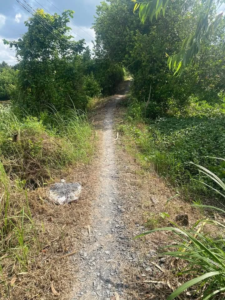 Bán 2500m² đất nông nghiệp Hòa Long Mới 480 triệu - Ảnh thu nhỏ 4