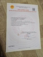 Chính chủ bán đất nền đường quy hoạch 16m, ngay gần Vin Hạ Long Xanh - Ảnh thu nhỏ 4