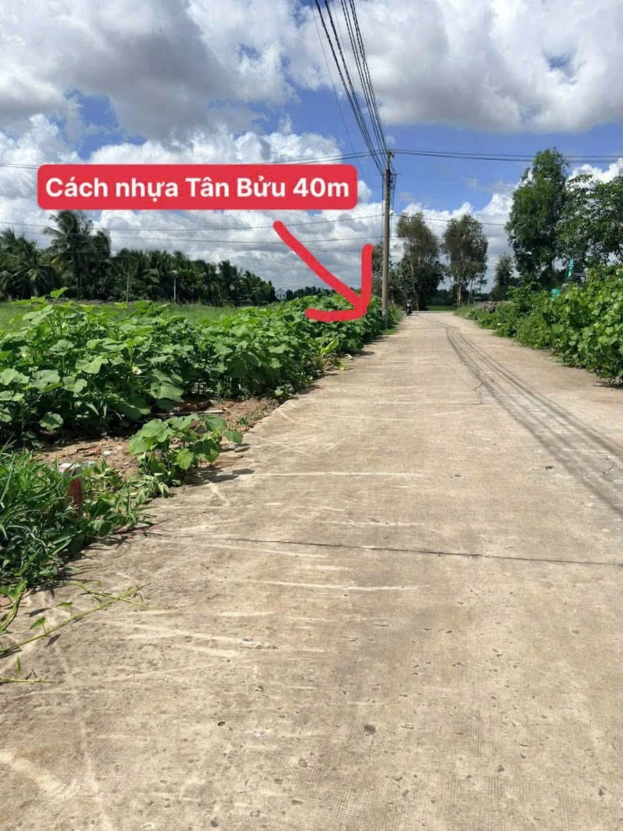 Bán đất nền 160m² Tân Bửu, Bến Lức, Long An 1,55 tỷ - Ảnh thu nhỏ 2