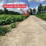 Bán đất nền 160m² Tân Bửu, Bến Lức, Long An 1,55 tỷ - Ảnh thu nhỏ 2