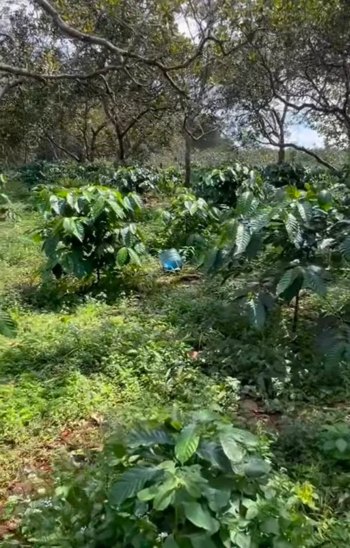 Bán nhà Tân Mai 25m, 4 tỷ, sổ riêng nhua1km