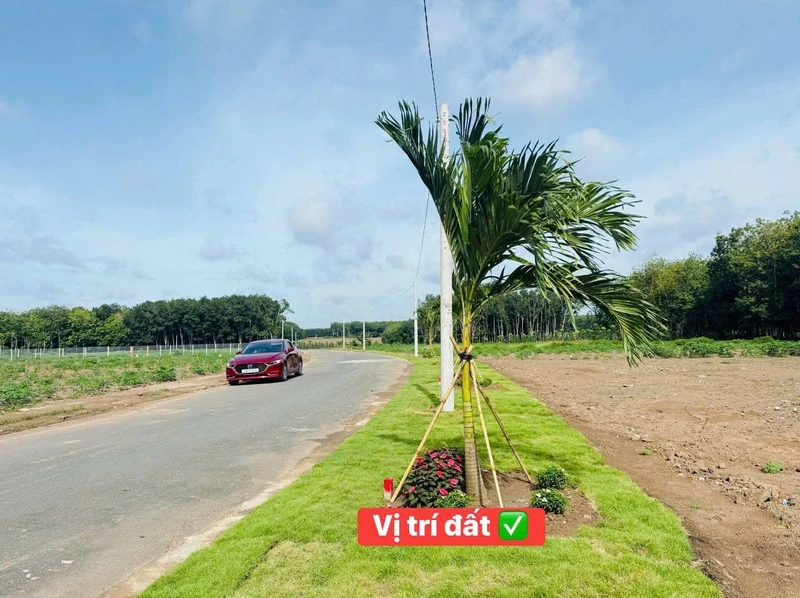 Bán đất nền 100m2 Minh Lập Chơn Thành Đồng Nai 380 triệu