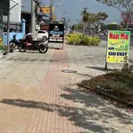 Bán đất 317,3 m² mặt tiền Quốc Lộ 60, Bến Tre - Ảnh thu nhỏ 2
