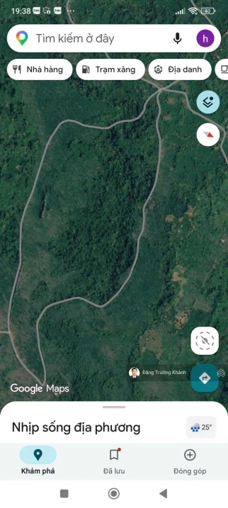 20 000 000m2 (2000 ha) rừng sản xuất theo dự án cây lâm nghiệp, dược liệu kết hợp du lịch sinh thái - Ảnh thu nhỏ 3