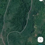 20 000 000m2 (2000 ha) rừng sản xuất theo dự án cây lâm nghiệp, dược liệu kết hợp du lịch sinh thái - Ảnh thu nhỏ 3