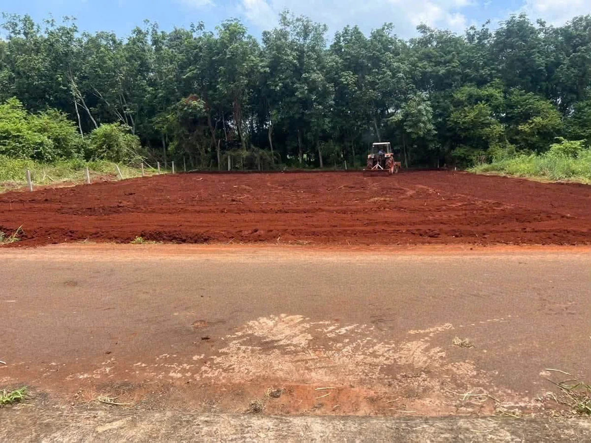 Bán đất Long Tân Nhà Bè 988m² 2,45 tỷ - Ảnh thu nhỏ 3