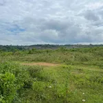 Bán 1,1 ha đất trồng xã Tân Hoà Đắk Lắk 670 triệu - Ảnh thu nhỏ 2