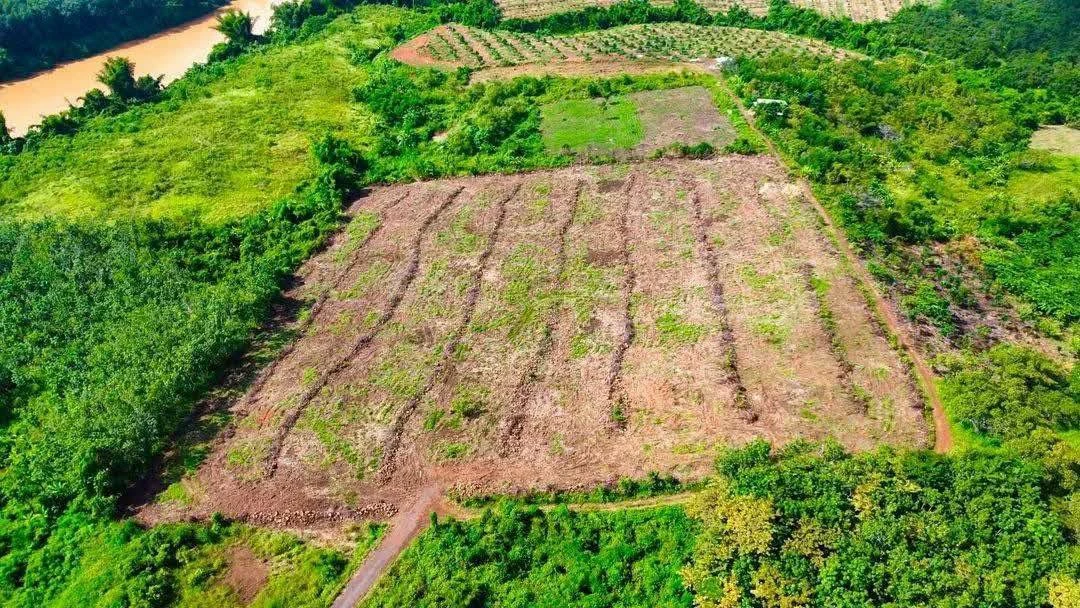 Bán đất nền 2,2 hecta (22.000m²) Đồng Nai giá 2 tỷ - Ảnh thu nhỏ 2