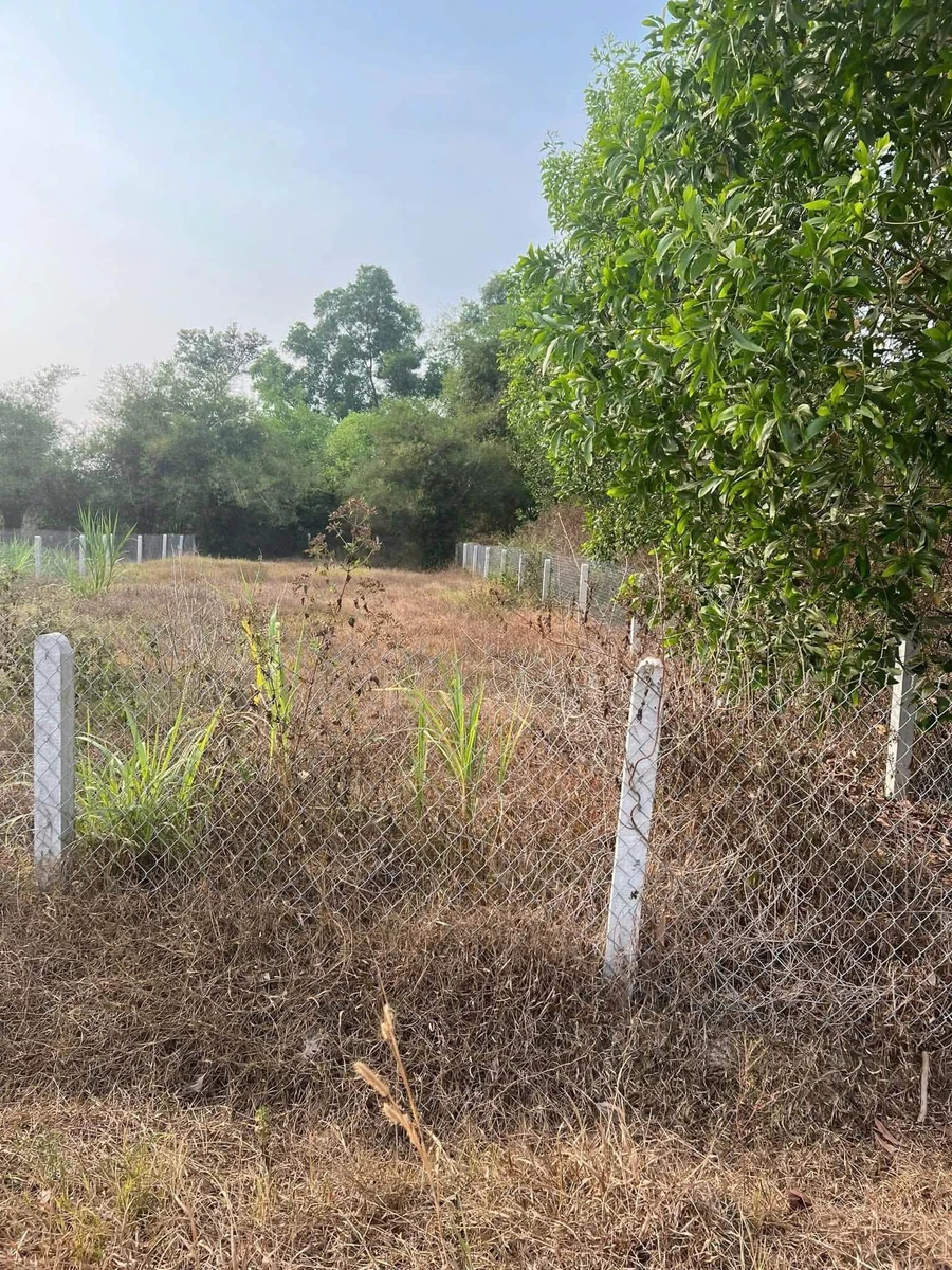 Bán đất 410m² gần chợ Châu Thành Tây Ninh - Ảnh thu nhỏ 2