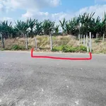 Bán đất mặt tiền 115m² Bà Rịa - Ảnh thu nhỏ 1