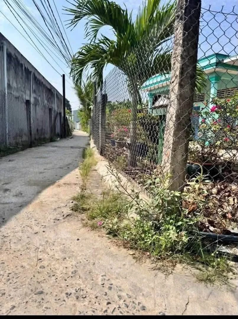 Bán lô đất thổ cư 200m² Long Hiệp Bến Lức 1 tỷ 200 triệu - Ảnh thu nhỏ 2