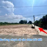 Bán đất mặt tiền 80m² Phước Thạnh Tây Ninh 399 triệu - Ảnh thu nhỏ 1