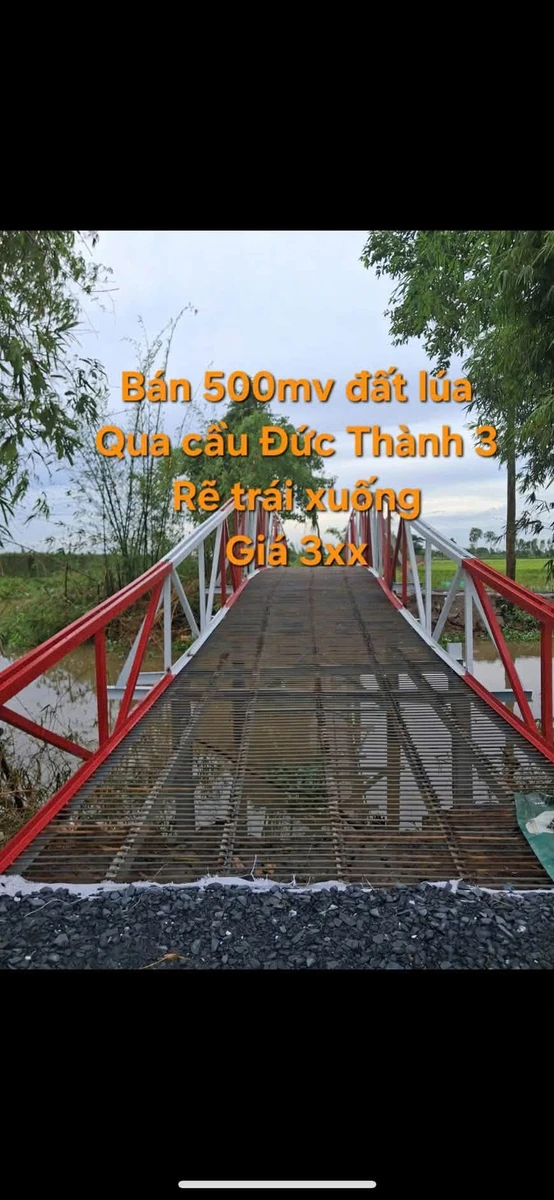 Bán 500m2 đất lúa Mỹ Thới gần cầu Đức Thành 3, giá 320 triệu, thích hợp làm vườn - Ảnh thu nhỏ 2