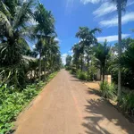 Bán đất mặt tiền đường D4 Kotam 5x22 giá 979 triệu, Phường Tân An, Đắk Lắk - Ảnh thu nhỏ 3