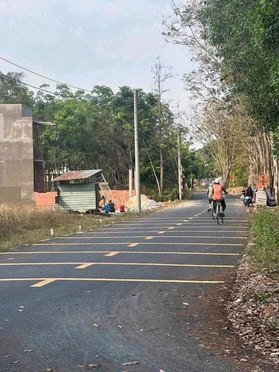 Bán đất Chánh Phú Hòa 250m², 2,3 tỷ - Ảnh thu nhỏ 3