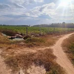Bán đất 1000m² ở Hảo Dước, Tây Ninh - Ảnh thu nhỏ 4