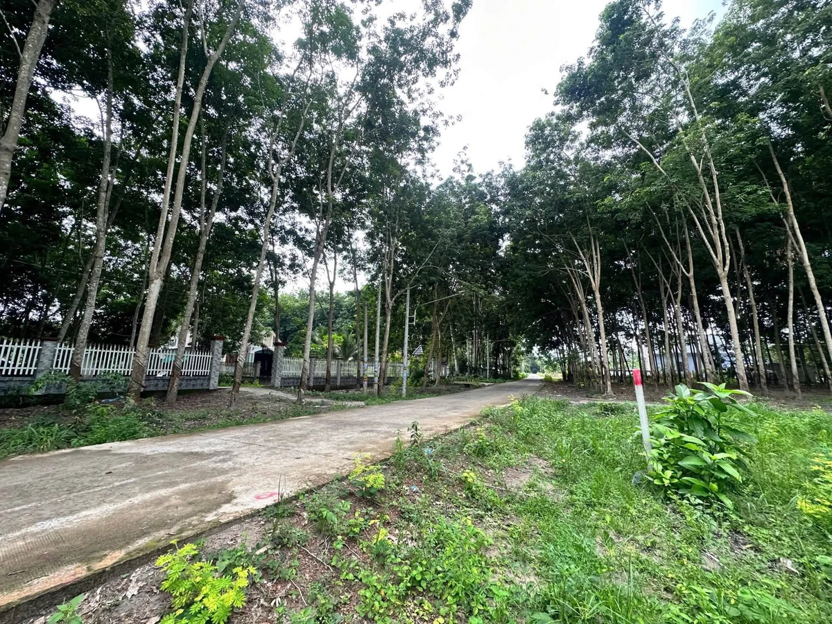 Bán đất mặt tiền 5x45m gần KCN Minh Hưng 3, Bình Dương - Ảnh thu nhỏ 3