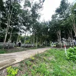 Bán đất mặt tiền 5x45m gần KCN Minh Hưng 3, Bình Dương - Ảnh thu nhỏ 3