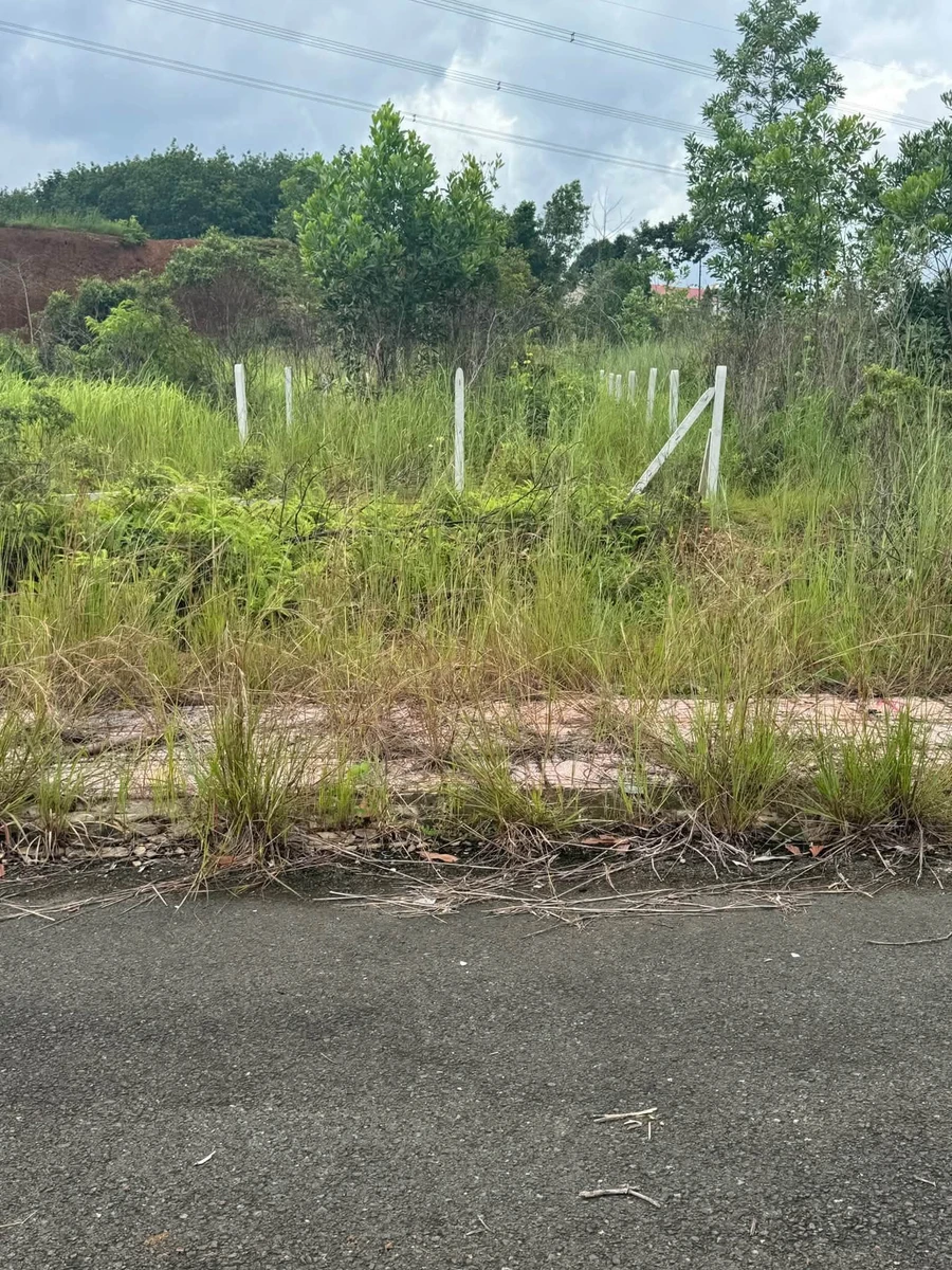 Bán nền đất Đồng Nai, 150m², 470 triệu - Ảnh 1