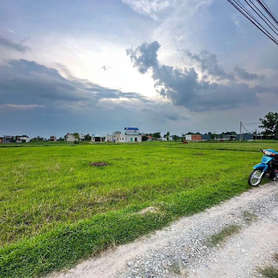 Bán 1000m² đất Mỹ Hạnh Nam, Bình Chánh 3.8 tỷ - Ảnh thu nhỏ 5