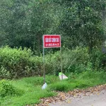 Bán đất 7673m² Bắc Tân Uyên, Bình Dương, 27.5 tỷ - Ảnh thu nhỏ 3
