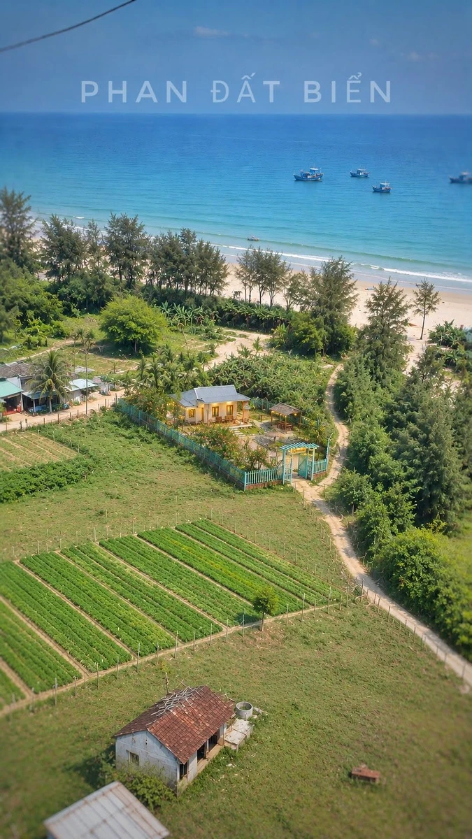 Bán homestay sát biển 400m2 tại Quảng Ngãi - Ảnh 1