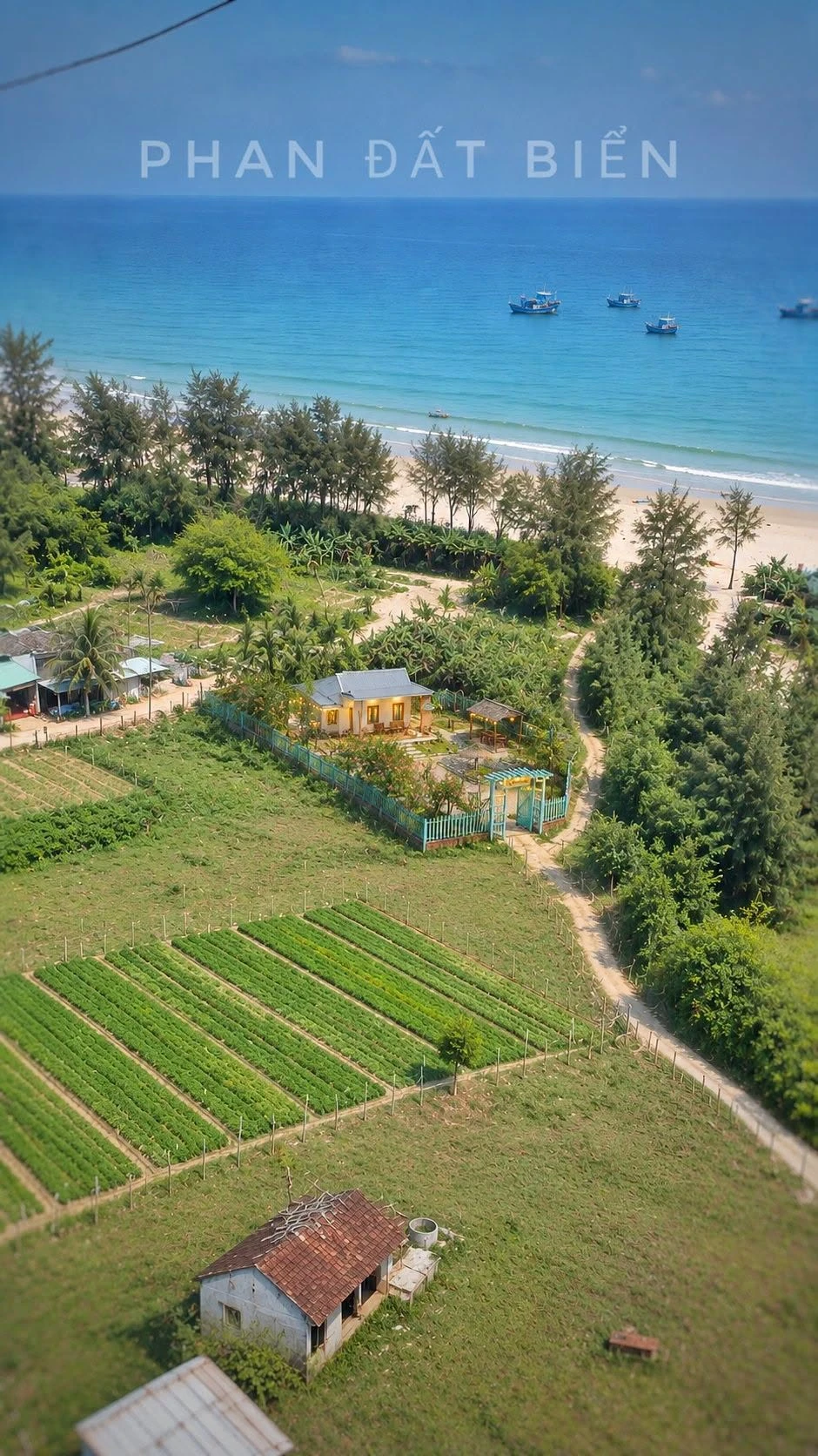 Bán homestay sát biển 400m2 tại Quảng Ngãi - Ảnh 1