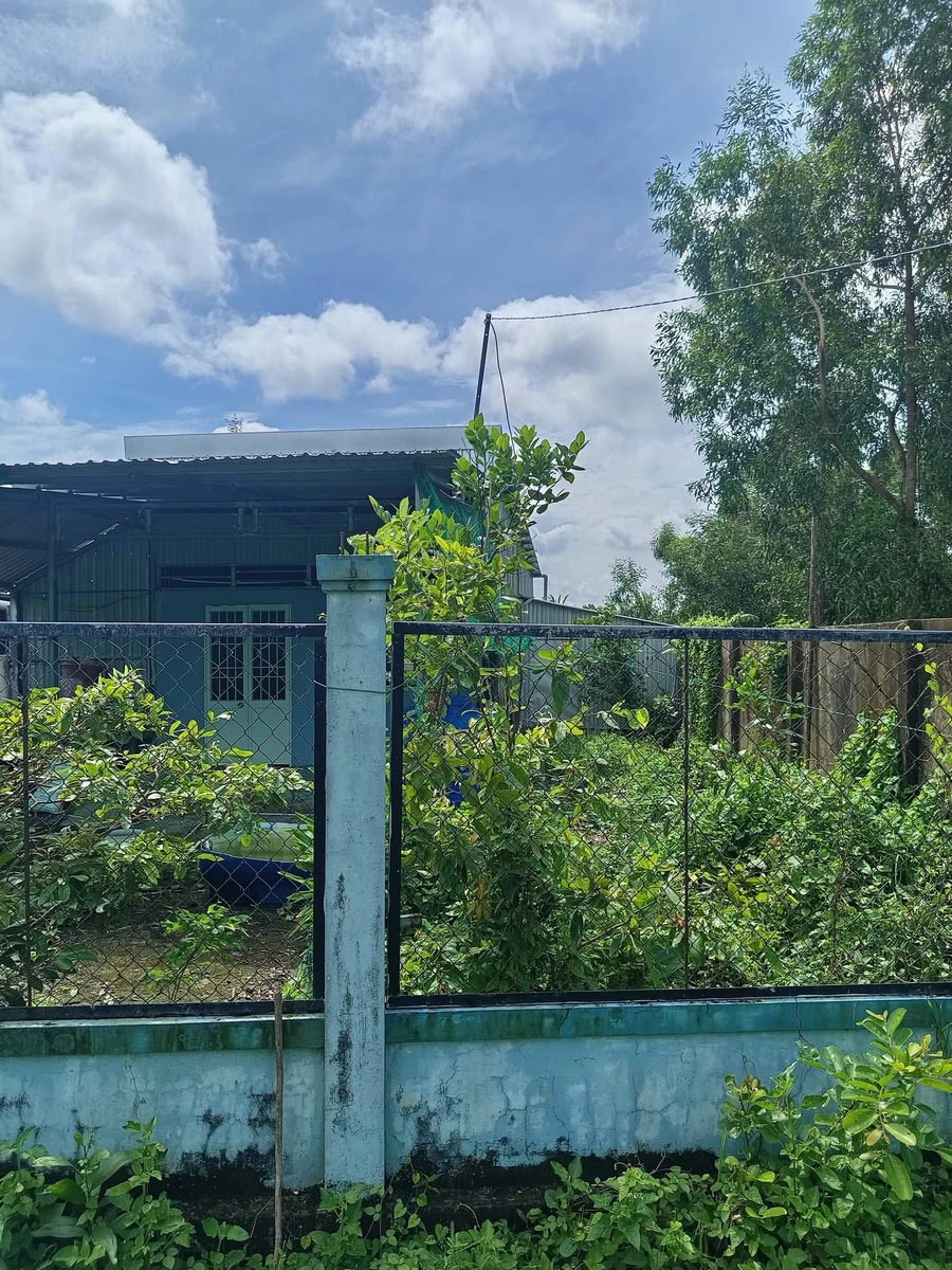 Bán đất nền 500m2 xã Hồ Tây, Cần Giờ 400 triệu - Ảnh thu nhỏ 2
