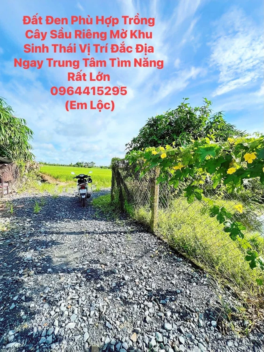 Bán 10.844m2 đất Tây Ninh, gần 1 mẫu, giá 2 tỷ 200 triệu - Ảnh thu nhỏ 4