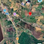 Bán vườn cây ăn trái 6000m2 Hàm Thuận Bắc Bình Thuận 1 tỷ 3 - Ảnh thu nhỏ 3