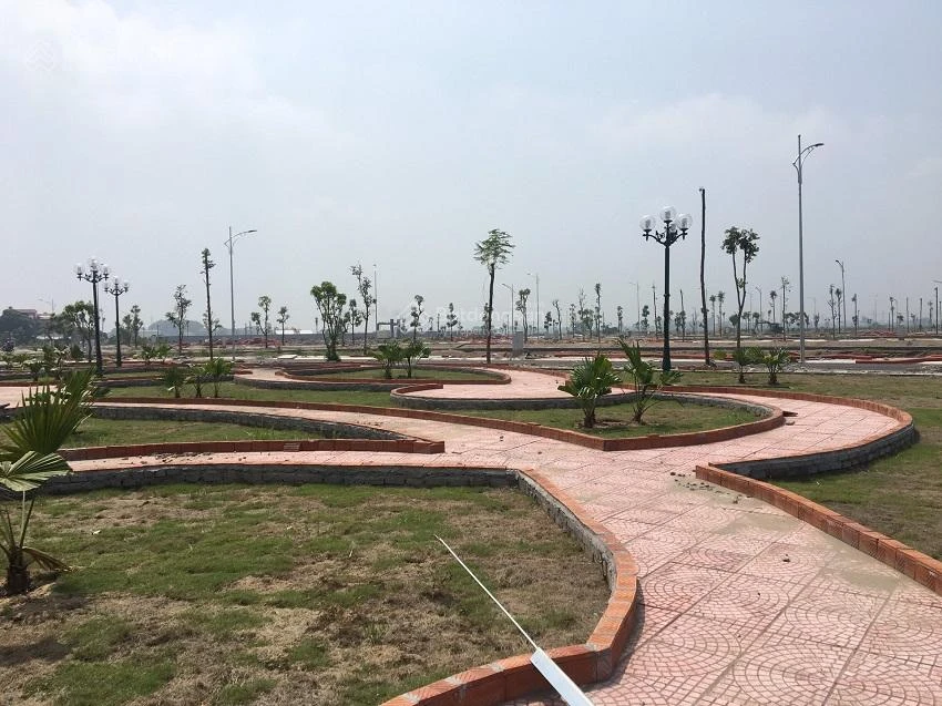Chính chủ bán đất Hải Quân Tam Giang Bắc Ninh 240m giá mong muốn 33tr/m2 thương lượng, sổ đỏ sẵn - Ảnh thu nhỏ 4