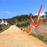 Bán lô đất riêng tư 100m2 Langbiang Đà Lạt, 2 tỷ 2 - Ảnh thu nhỏ 1