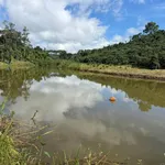 Bán 1,5 ha đất vườn cà phê, hồ tiêu có nhà cấp 4 sát Quốc lộ 14, Đắk Song, Đắk Nông - Ảnh thu nhỏ 3