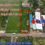 Bán đất mặt tiền Cây Điệp Xuân Lộc Đồng Nai 19x68m - Ảnh thu nhỏ 2