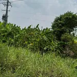 Bán đất Hòa Khánh Cần Giờ 500m² giá 3 tỷ 550 - Ảnh thu nhỏ 1