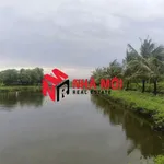 Bán đất vuông 36 công Ấp Cái Cám, Cà Mau - Ảnh thu nhỏ 3