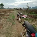 Bán đất 33.621m² giá 1,8 tỷ tại Hàm Thuận Nam, Bình Thuận - Ảnh thu nhỏ 3