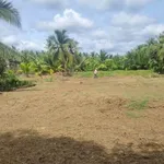 Bán 2 nền đất 630m² sổ riêng tại Bình Chánh, 690 triệu - Ảnh thu nhỏ 4