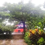 Nhà vườn siêu đẹp, nở hậu, mặt tiền đường Quốc Lộ 20 nối SG - Đà Lạt (Đạ Huoai - Lâm Đồng) - Ảnh thu nhỏ 11