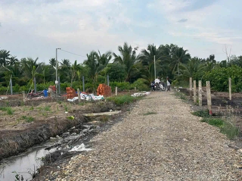 Bán đất xây nhà vườn mặt tiền 840m² Bình Đức, Long An