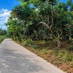 Bán nhanh đất vườn trái cây 500m2 lô góc 2 mặt tiền giá 950 triệu gần Thảo Thiện Garden - Ảnh thu nhỏ 1