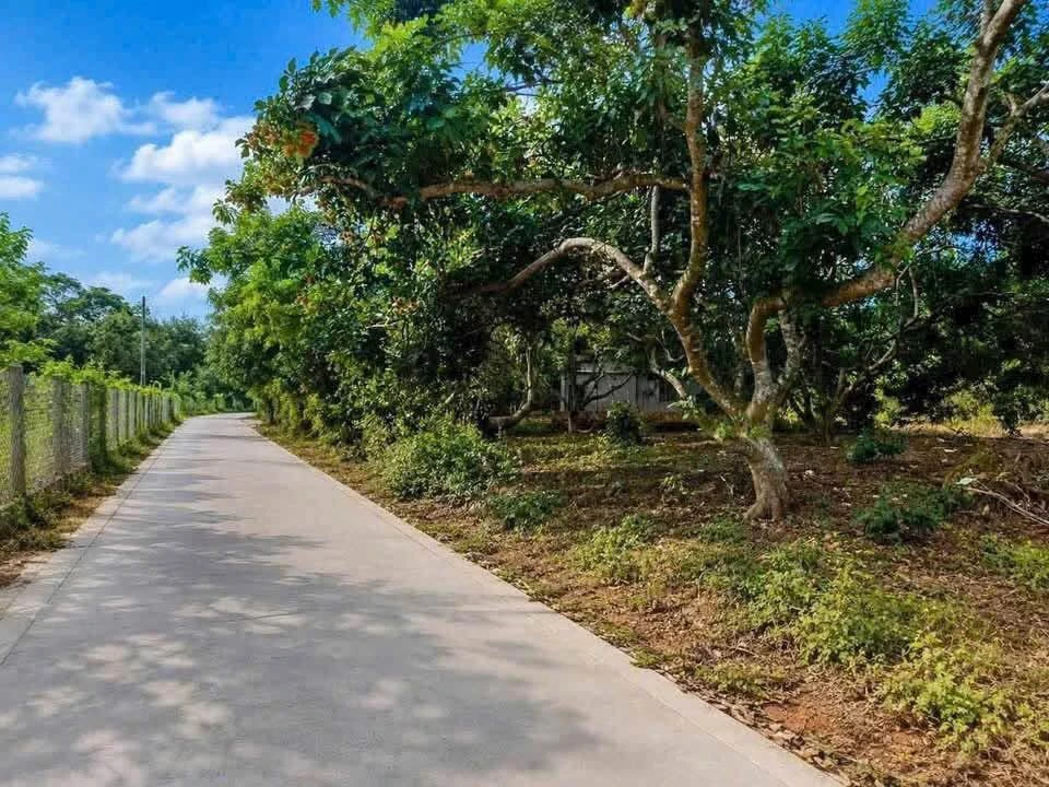 Bán nhanh đất vườn trái cây 500m2 lô góc 2 mặt tiền giá 950 triệu gần Thảo Thiện Garden - Ảnh 1