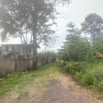 Bán đất Trảng Bom 100m², giá 500 triệu - Ảnh thu nhỏ 3