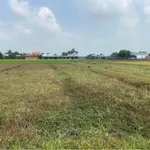 Bán đất lúa 4.190m2 mặt tiền đường đất 4m tại Ấp Bình Thủy, Hoà Khánh Đông, Đức Hoà - Ảnh thu nhỏ 3