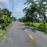 Bán 1000m2 đất lúa Châu Thành Long An 1,5 tỷ - Ảnh thu nhỏ 3