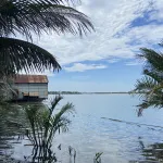 View sông Cẩm Nam Hội An 401m2 full thổ cư - 2 phút Phố cổ Hội An và Đảo Ký ức. Chính chủ giá tốt - Ảnh thu nhỏ 10