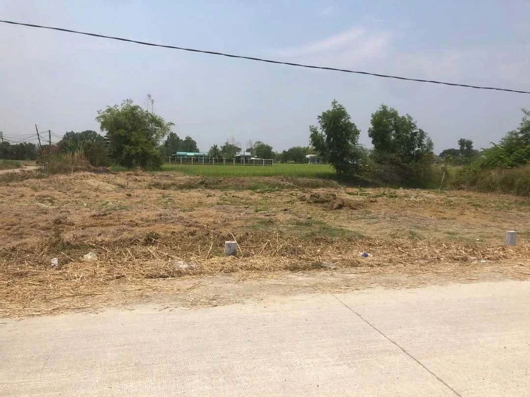 Bán 2 lô đất 5x23m mặt đường xe hơi gần QL50, Phước Đông, Cần Đước - Ảnh thu nhỏ 2